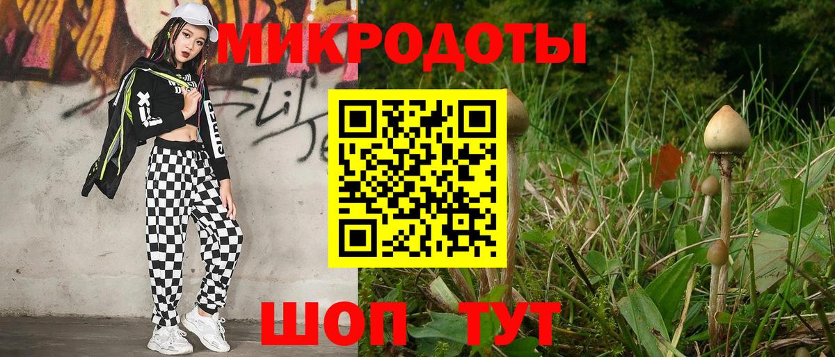 Новошахтинск  Псилоцибиновые грибы Cubensis  Вход с VPN 