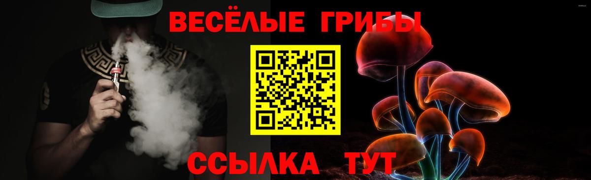 Галлюциногенные грибы прущие грибы Новошахтинск